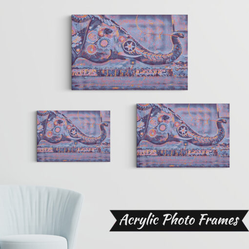 Alternative view of Elephant Art #4