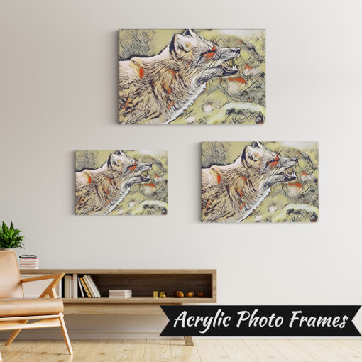 Alternative view of Vixen Art #1