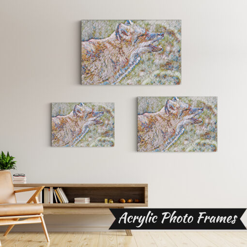 Alternative view of Vixen Art #2