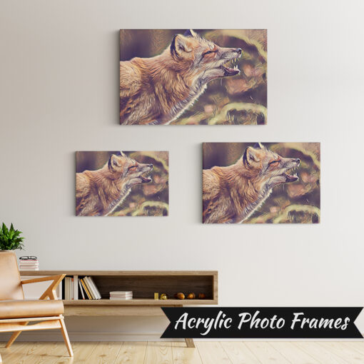 Alternative view of Vixen Art #4