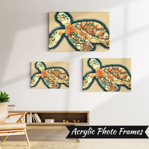 Alternative view of Turtle Art #1