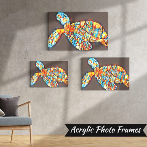 Alternative view of Turtle Art #3