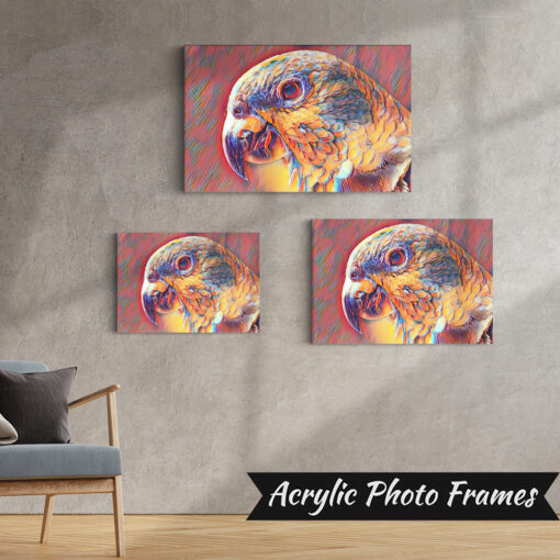 Alternative view of Parrot Art #6